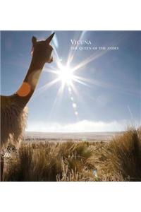 Vicuna