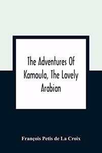 Adventures Of Kamoula, The Lovely Arabian, Or, A Vindication Of The Ways Of Providence
