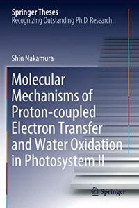 Molecular Mechanisms of Proton-Coupled Electron Transfer and Water Oxidation in Photosystem II