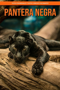 Pantera negra