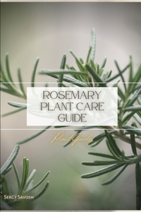 Rosemary Plant Care Guide