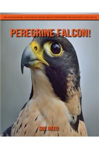 Peregrine Falcon! An Educational Children's Book about Peregrine Falcon with Fun Facts