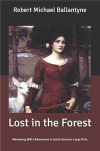 Lost in the Forest