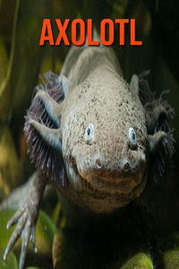 Axolotl