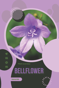 Bellflower