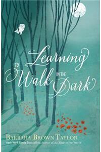Learning to Walk in the Dark