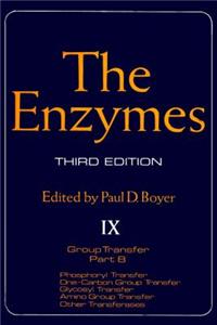 The Enzymes