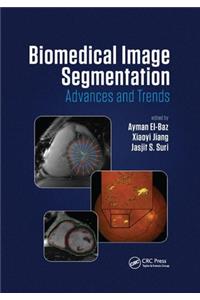 Biomedical Image Segmentation