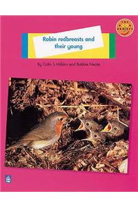 Robin Redbreast and their young Non-Fiction 1