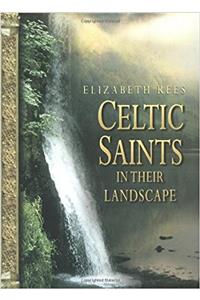 Celtic Saints in Their Landscape