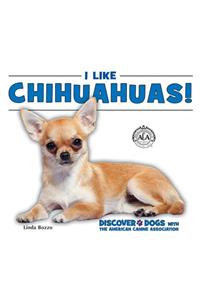 I Like Chihuahuas!