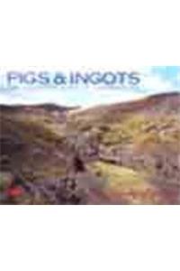 Pigs and Ingots - The Lead and Silver Mines of Cardiganshire