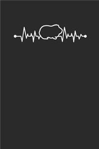 Guinea Pig Heartbeat
