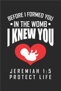 Before I formed you in the womb I knew you