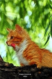 Chaton Carnet de notes