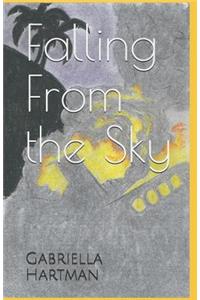 Falling from the Sky