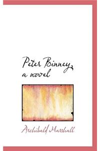 Peter Binney, a Novel