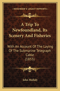 Trip To Newfoundland, Its Scenery And Fisheries