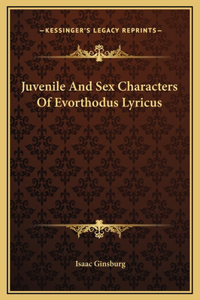 Juvenile And Sex Characters Of Evorthodus Lyricus