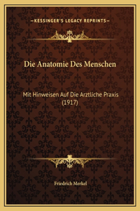 Die Anatomie Des Menschen