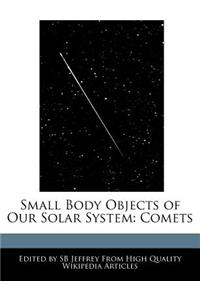 Small Body Objects of Our Solar System