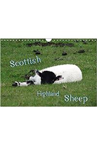 Scottish Highland Sheep (UK Version) 2017