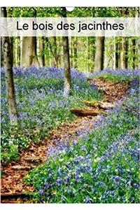 Bois Des Jacinthes 2018