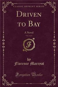 Driven to Bay, Vol. 2 of 3