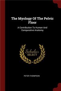 The Myology of the Pelvic Floor