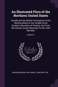 An Illustrated Flora of the Northern United States