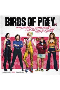 Cal-2021 Birds of Prey Wall