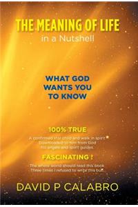 The Meaning of Life in a Nutshell: What God Wants You to Know