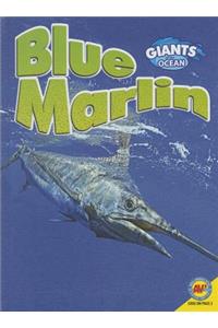 Blue Marlin