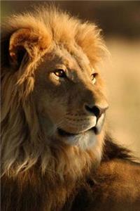 MindBlowing Cute Big Cats Journal 2