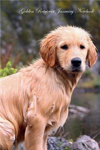 Golden Retriever January Notebook Golden Retriever Record, Log, Diary, Special Memories, To Do List, Academic Notepad, Scrapbook & More
