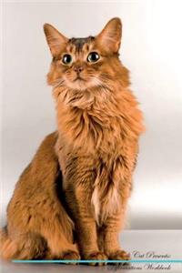 Somali Cat Affirmations Workbook Somali Cat Presents