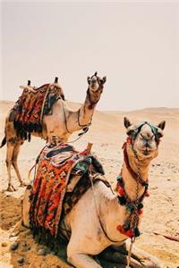 Two Camels in the Desert Journal