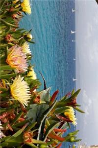 Succulent Flowers, Sailboats and the Sea in Rhodes, Greece Journal