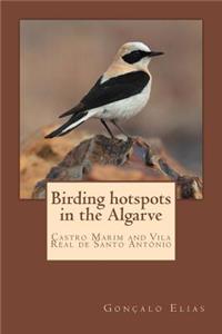 Birding Hotspots in the Algarve