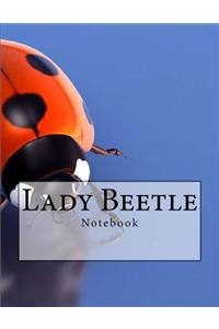 Lady Beetle Notebook