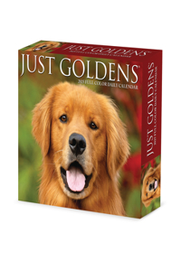 Goldens 2026 5.4 X 6.2 Box Calendar
