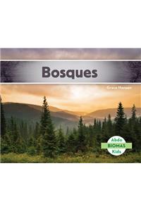 Bosques (Forest Biome) (Spanish Version)