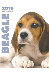 Beagle 2019 Dog Calendar