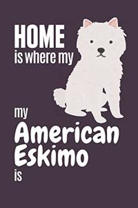 Home is where my American Eskimo is