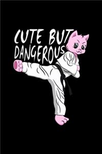 Karate Taekwondo Cat - Cute But Dangerous