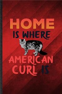 Home Is Where American Curl Is