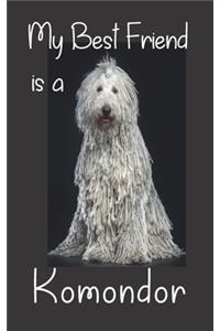 My best Friend is a Komondor