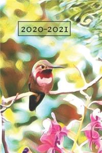 Green Hummingbird Lover's Ruby Red Throated Garden bird Dated Weekly 2 year Calendar Planner