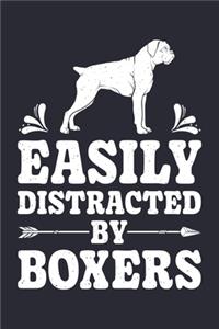 Easily Distracted By Boxers