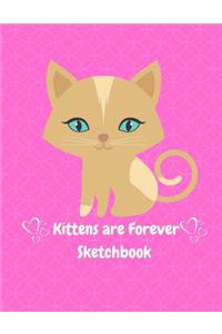 Kittens Are Forever Sketchbook
